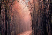 ->威尔士队迎来挑战，实力待考验