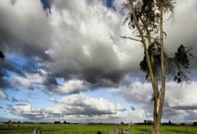 马德里竞技中场状态神勇，球队全面发力