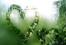 曼联客场逆风击败阿贾克斯，突破诸难