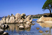 马德里竞技中场状态神勇，球队全面发力